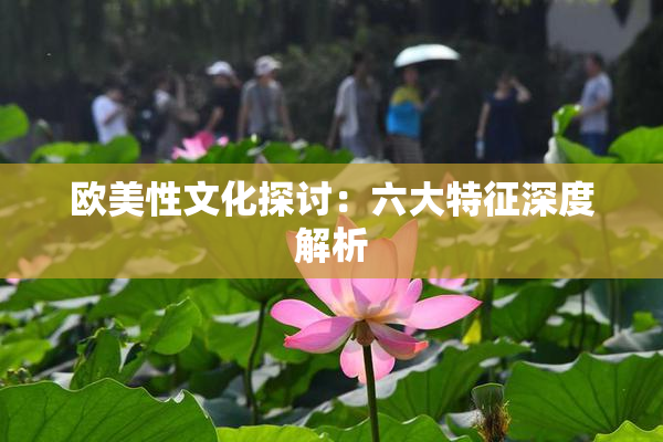 欧美性文化探讨：六大特征深度解析