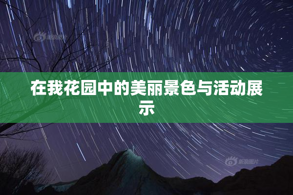 在我花园中的美丽景色与活动展示