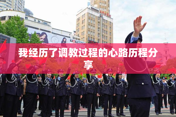 我经历了调教过程的心路历程分享