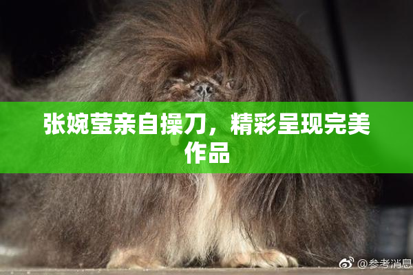 张婉莹亲自操刀，精彩呈现完美作品