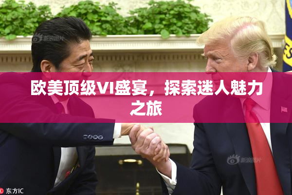 欧美顶级VI盛宴，探索迷人魅力之旅