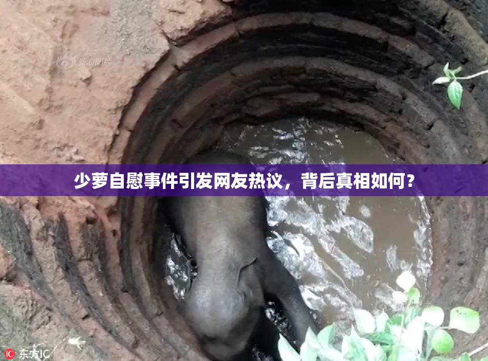 少萝自慰事件引发网友热议，背后真相如何？