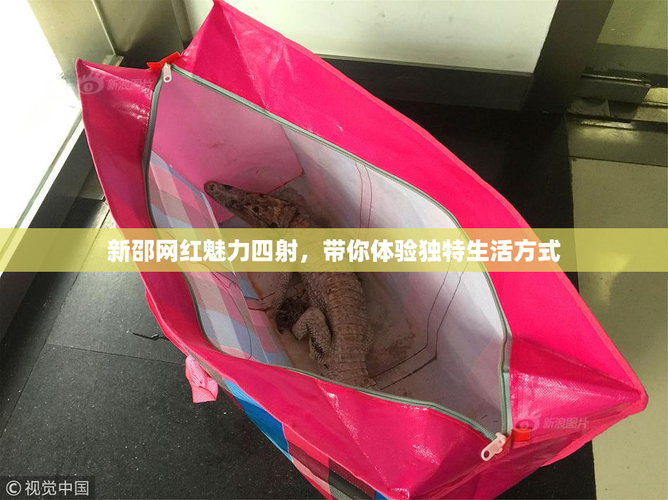 新邵网红魅力四射，带你体验独特生活方式