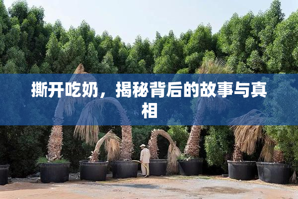 撕开吃奶，揭秘背后的故事与真相
