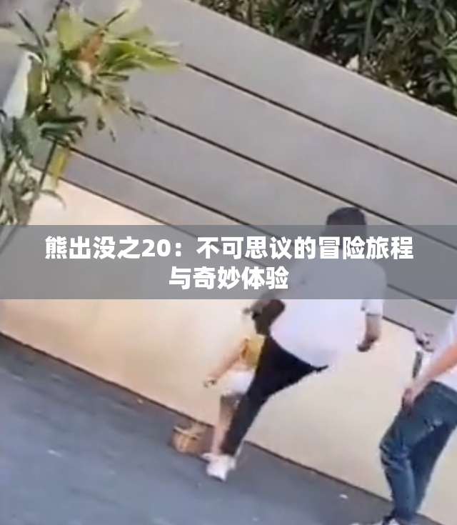 熊出没之20：不可思议的冒险旅程与奇妙体验