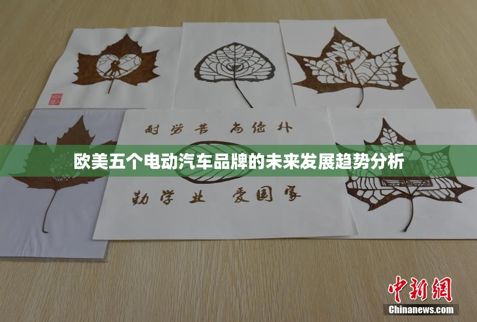 欧美五个电动汽车品牌的未来发展趋势分析