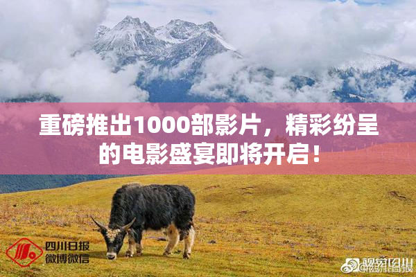 重磅推出1000部影片，精彩纷呈的电影盛宴即将开启！