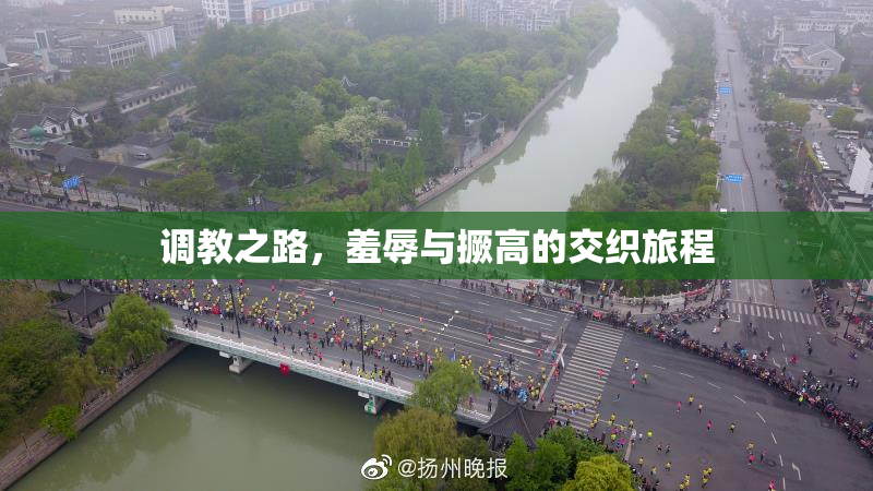 调教之路，羞辱与撅高的交织旅程