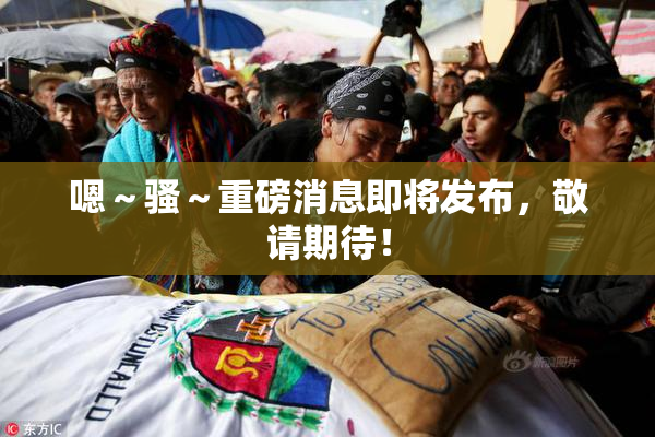 嗯～骚～重磅消息即将发布，敬请期待！