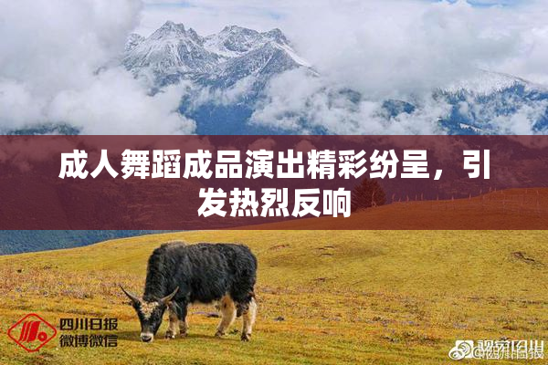 成人舞蹈成品演出精彩纷呈，引发热烈反响
