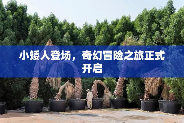 小矮人登场，奇幻冒险之旅正式开启
