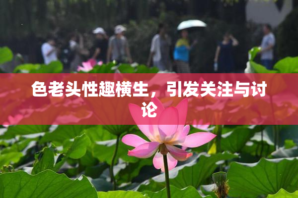 色老头性趣横生，引发关注与讨论