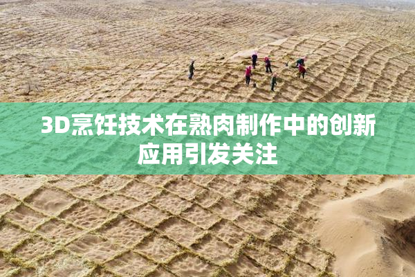 3D烹饪技术在熟肉制作中的创新应用引发关注