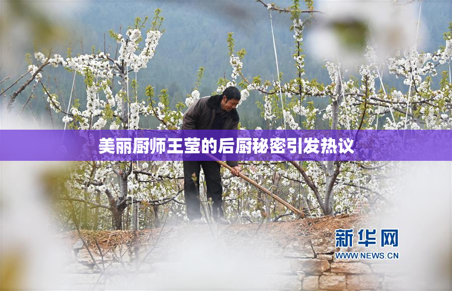 美丽厨师王莹的后厨秘密引发热议