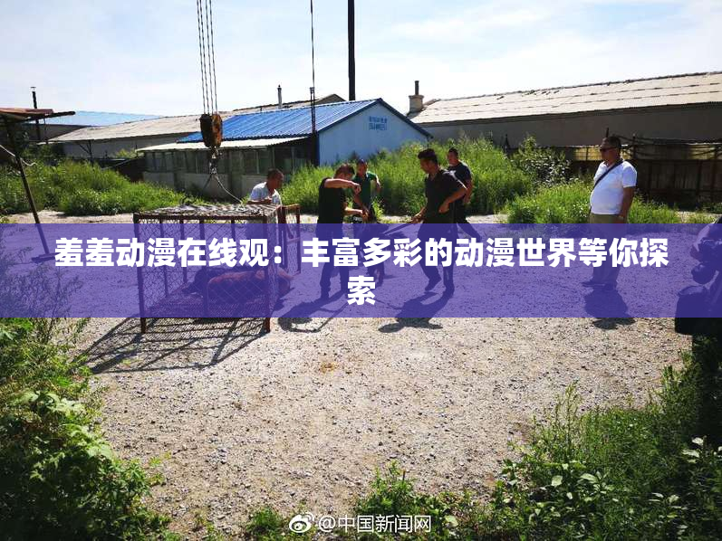羞羞动漫在线观：丰富多彩的动漫世界等你探索
