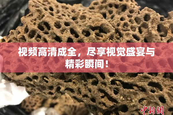 视频高清成全，尽享视觉盛宴与精彩瞬间！