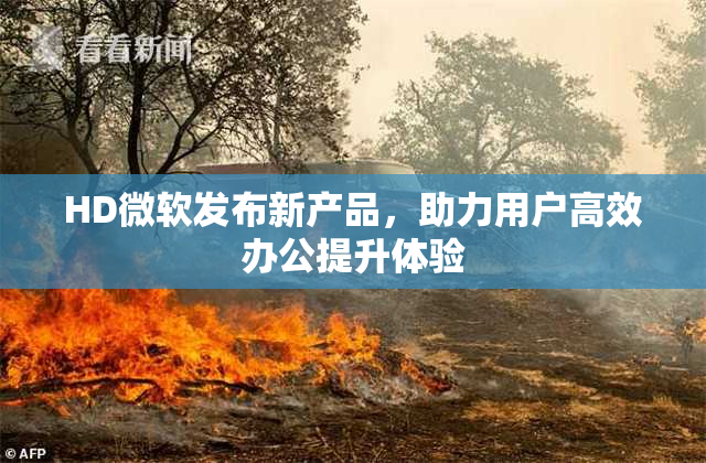 HD微软发布新产品，助力用户高效办公提升体验