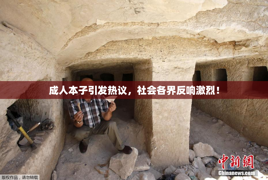 成人本子引发热议，社会各界反响激烈！