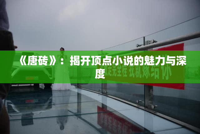 《唐砖》：揭开顶点小说的魅力与深度