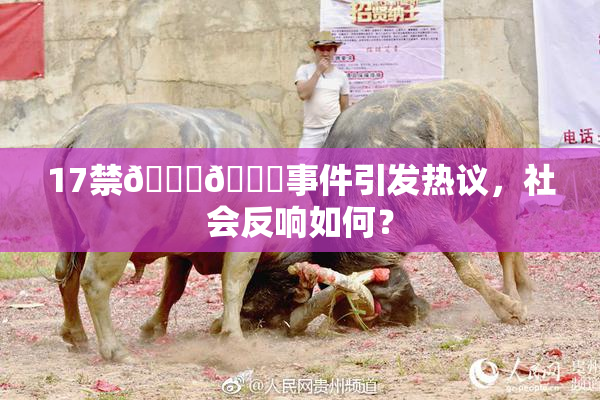 17禁🍆🍑事件引发热议，社会反响如何？