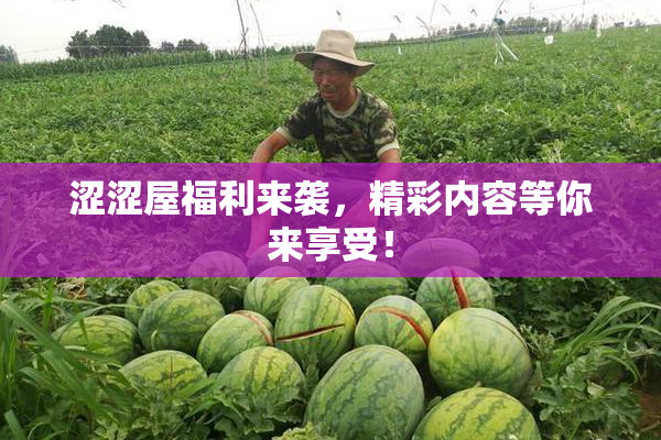 涩涩屋福利来袭，精彩内容等你来享受！