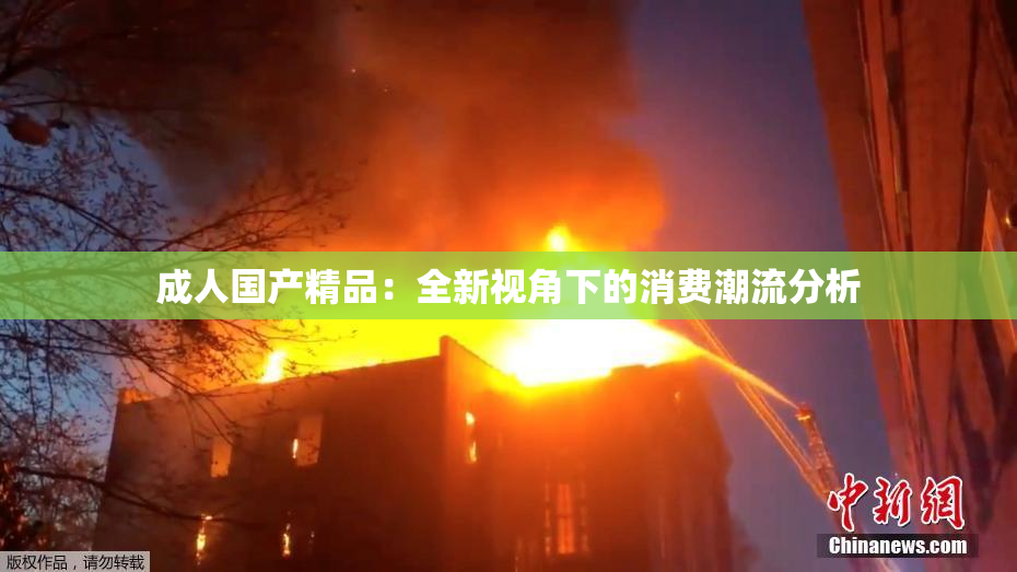 成人国产精品：全新视角下的消费潮流分析