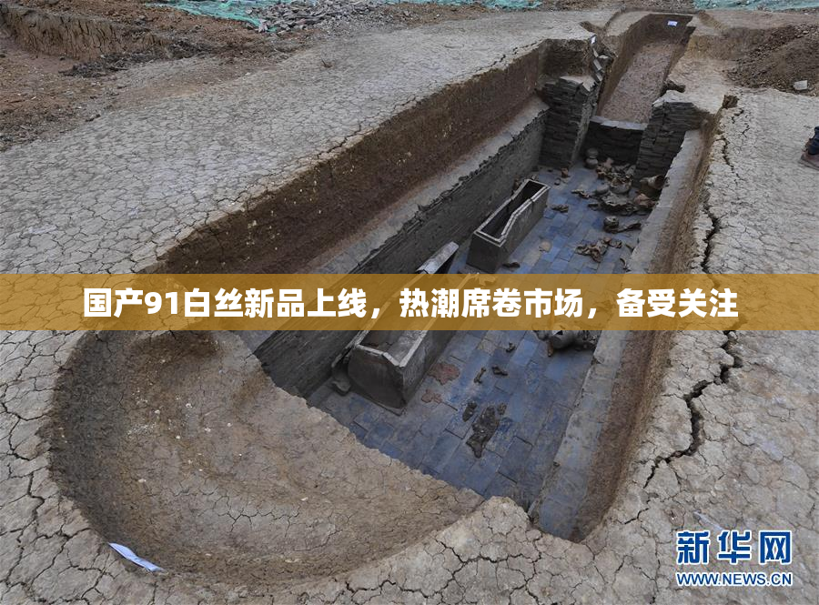 国产91白丝新品上线，热潮席卷市场，备受关注