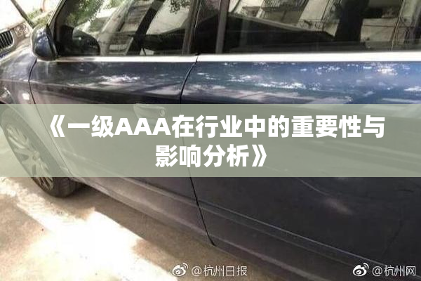 《一级AAA在行业中的重要性与影响分析》
