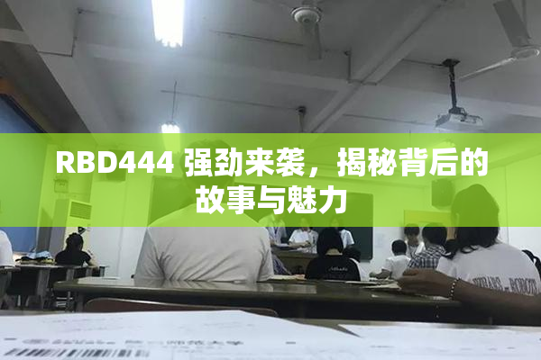 RBD444 强劲来袭，揭秘背后的故事与魅力