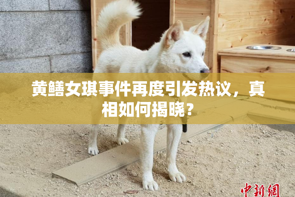黄鳝女琪事件再度引发热议，真相如何揭晓？