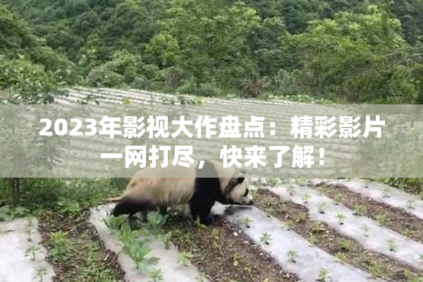 2023年影视大作盘点：精彩影片一网打尽，快来了解！