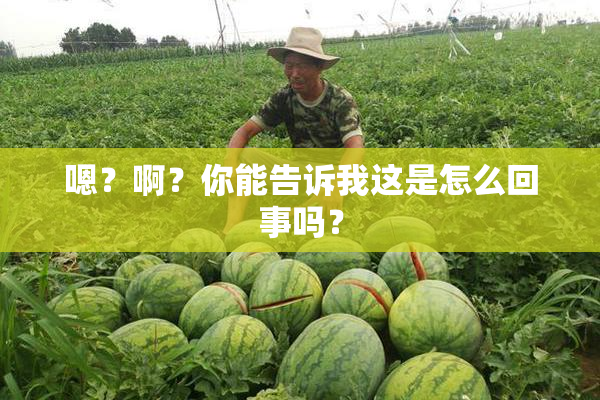 嗯？啊？你能告诉我这是怎么回事吗？