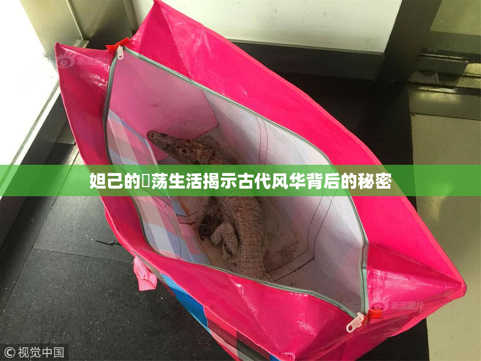 妲己的婬荡生活揭示古代风华背后的秘密