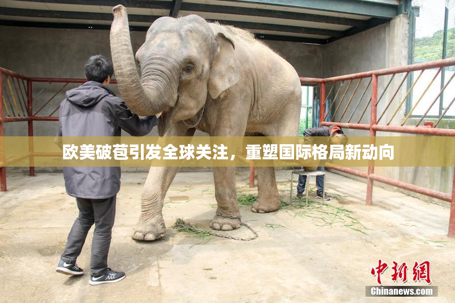 欧美破苞引发全球关注，重塑国际格局新动向