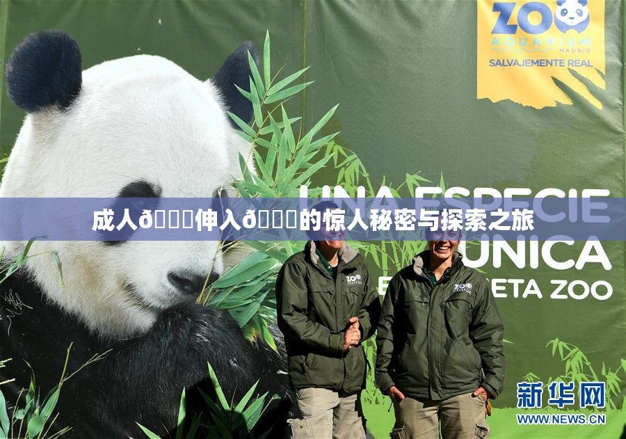 成人🍆伸入🍑的惊人秘密与探索之旅