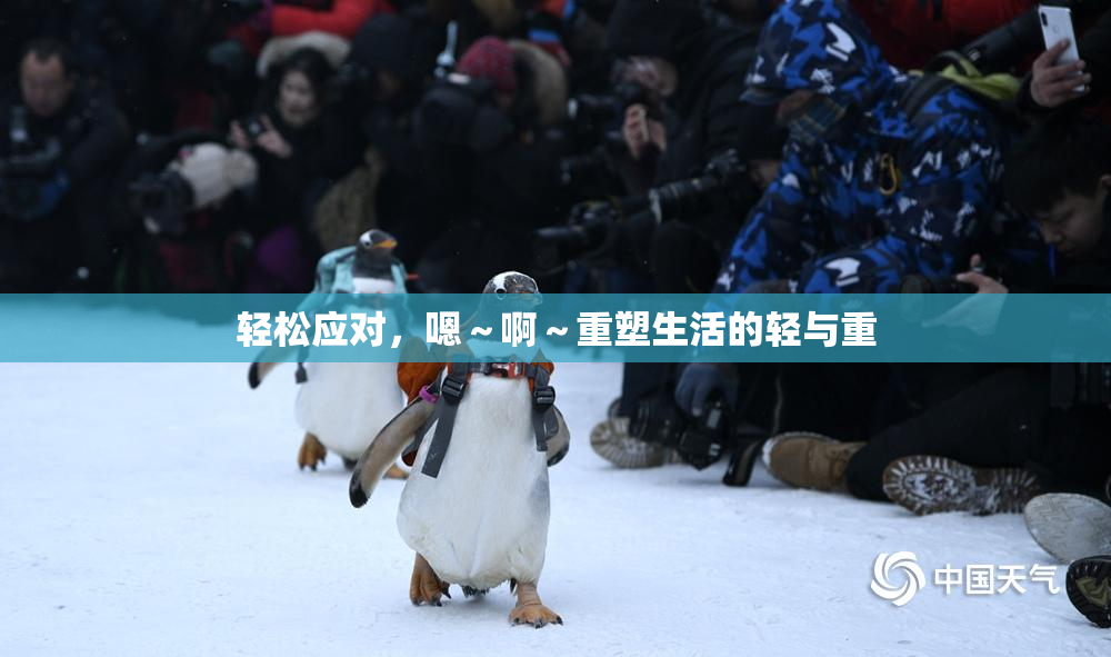 轻松应对，嗯～啊～重塑生活的轻与重
