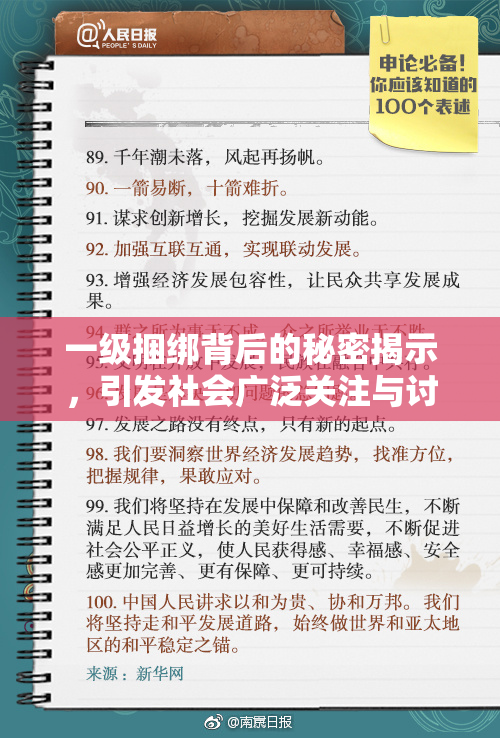 一级捆绑背后的秘密揭示，引发社会广泛关注与讨论