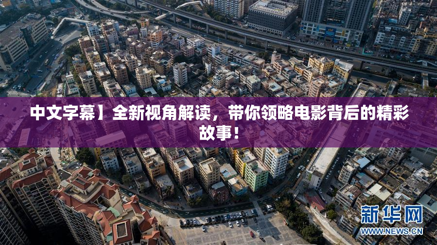 中文字幕】全新视角解读，带你领略电影背后的精彩故事！