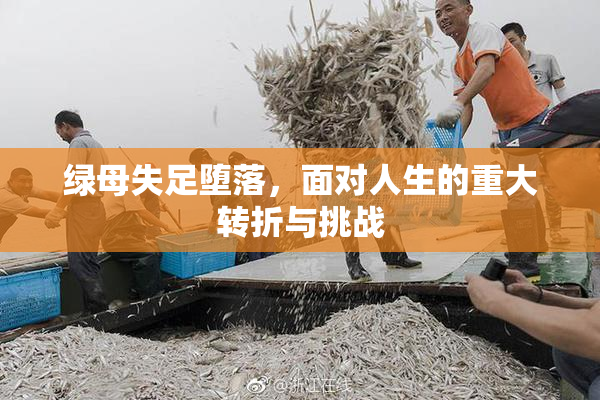 绿母失足堕落，面对人生的重大转折与挑战