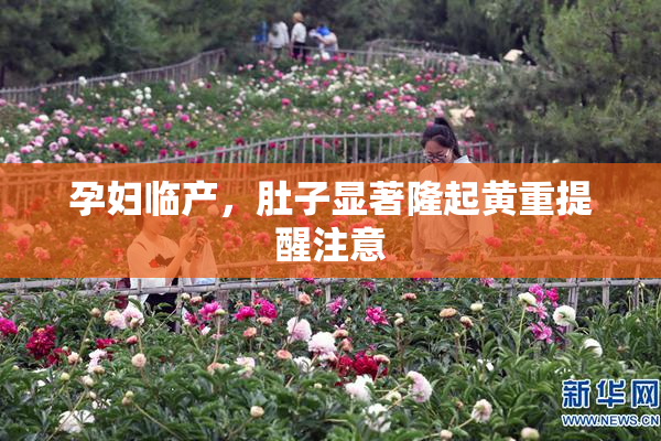 孕妇临产，肚子显著隆起黄重提醒注意