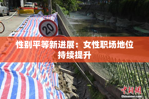 性别平等新进展：女性职场地位持续提升