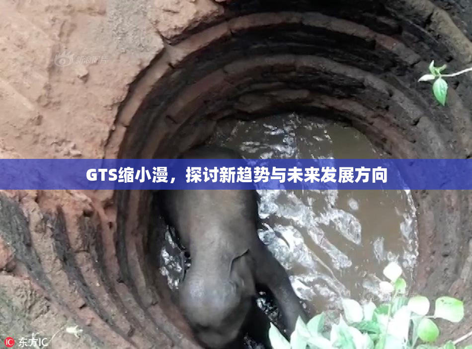 GTS缩小漫，探讨新趋势与未来发展方向