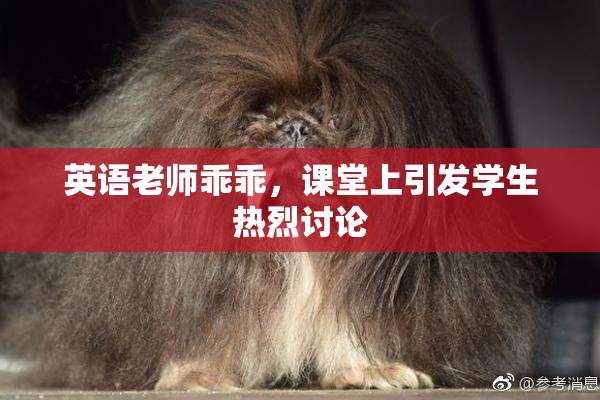英语老师乖乖，课堂上引发学生热烈讨论