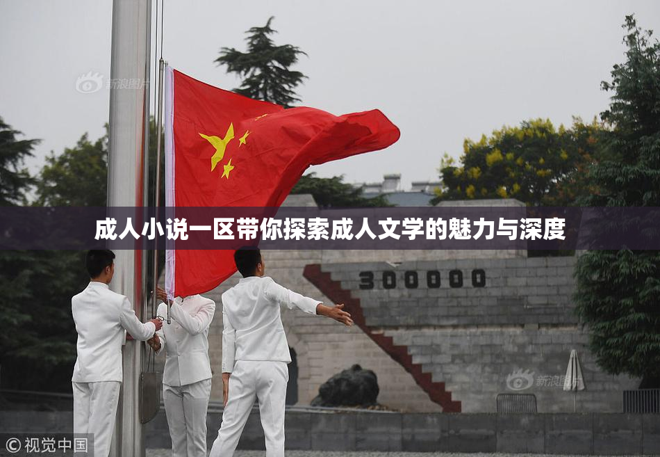 成人小说一区带你探索成人文学的魅力与深度