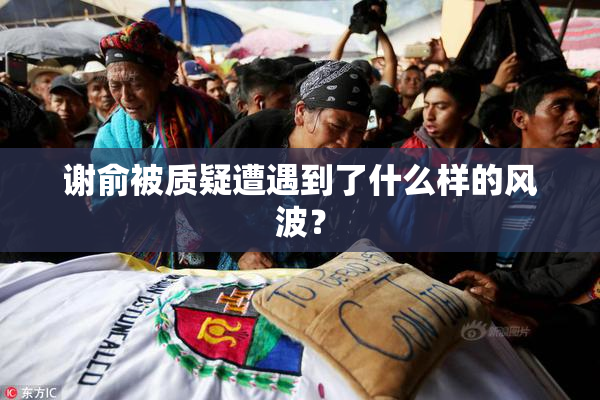 谢俞被质疑遭遇到了什么样的风波？