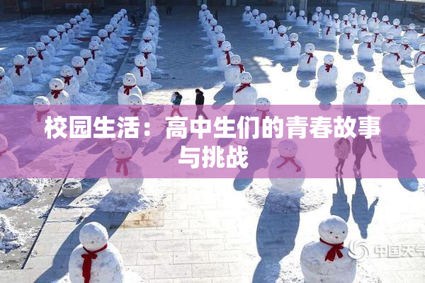校园生活：高中生们的青春故事与挑战