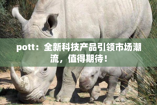 pott：全新科技产品引领市场潮流，值得期待！