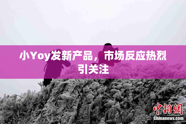 小Yoy发新产品，市场反应热烈引关注