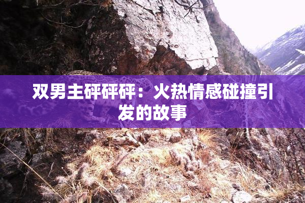 双男主砰砰砰：火热情感碰撞引发的故事