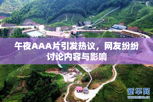 午夜AAA片引发热议，网友纷纷讨论内容与影响